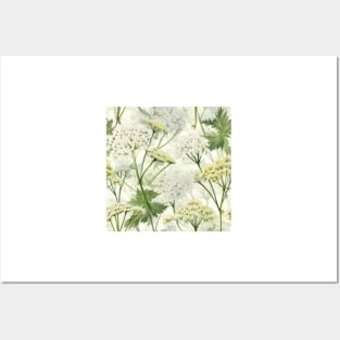 Watercolor Wildflower Queen Anne's Lace Pattern 2 Posters and Art